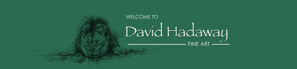 david hadaway